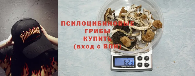 ссылка на мегу зеркало  Ишим  Псилоцибиновые грибы Psilocybine cubensis 